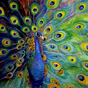 Img_8848_card