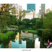 Lucy_card