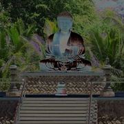 Buddha_blessings_card