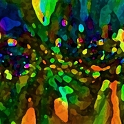 Forest_of_fairies_card