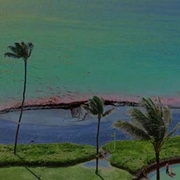 Another_in_paradise_card