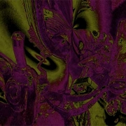 Butterfly_dream_card