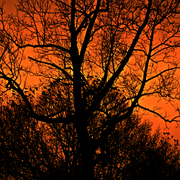 Img_9640b_card