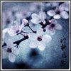 Cherry_thumb