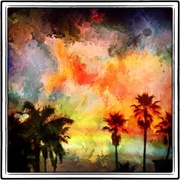 Redpalm_card
