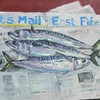 Mackerel_3_thumb