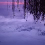 Evening_in_the_archipelago_card