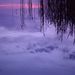 Evening_in_the_archipelago_square