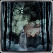 Willow_card