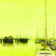 Yellow_moor_card