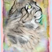 4ur8wshyu1mxb6w2pcafzudfoy4snzip_card