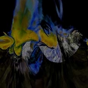 Birds_of_flight_card