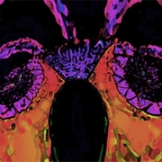 Universal_door_card