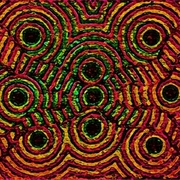 Path_of_man_card