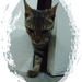Dsc01195bbbbbbb_square