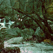 Roaring_meg__quenstown_painting_card