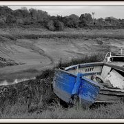 _dsc0553_card