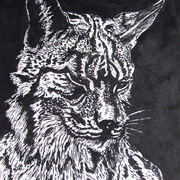 Lynx__ink_on_paper-25cmx15cm__card