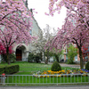 Catedralzurich1_thumb