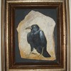 Stoic_crow_thumb