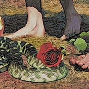 Image_card