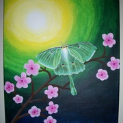Picture_781240043_card