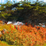 Pacific_grove_landscape_card
