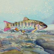 587jw_card