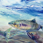 592jw_card