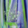Ap08_jardin_vert_anis-violet-blanc_lepolsk_matuszewski_img_0003_thumb