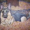 Daphne_zimmerman_2006_thumb