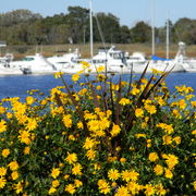 Newburyharbor2012-2_card