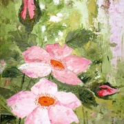 Pinkwildrose