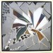 Goniatites_square