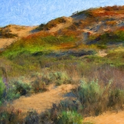 Seaside_sand_dune_card