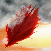 A_red_feather_blows_north_2