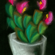 29122012_card