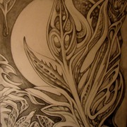 1_night_dreams_card