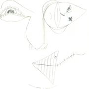 Ptdc0009_card