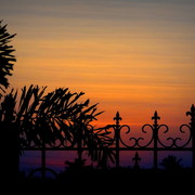Dsc03661_card