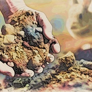 Image_card
