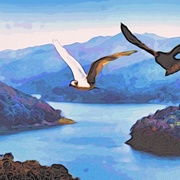 Image_card