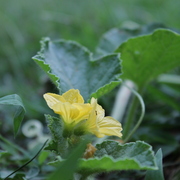 Img_0566_card