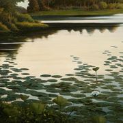 Img1751_card