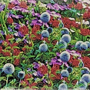 Image_card