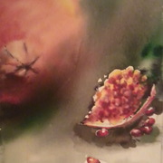 Photo0183_card
