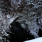 P1020272a_card