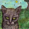 I_think_i_ll_visit_herman_the_tabby_down_the_road_thumb