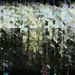 110605_square