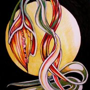 Waiting-for-midnight_2_card